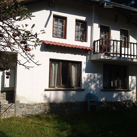 Хан Костина - Han Kostina Ribarica Kültér fotó